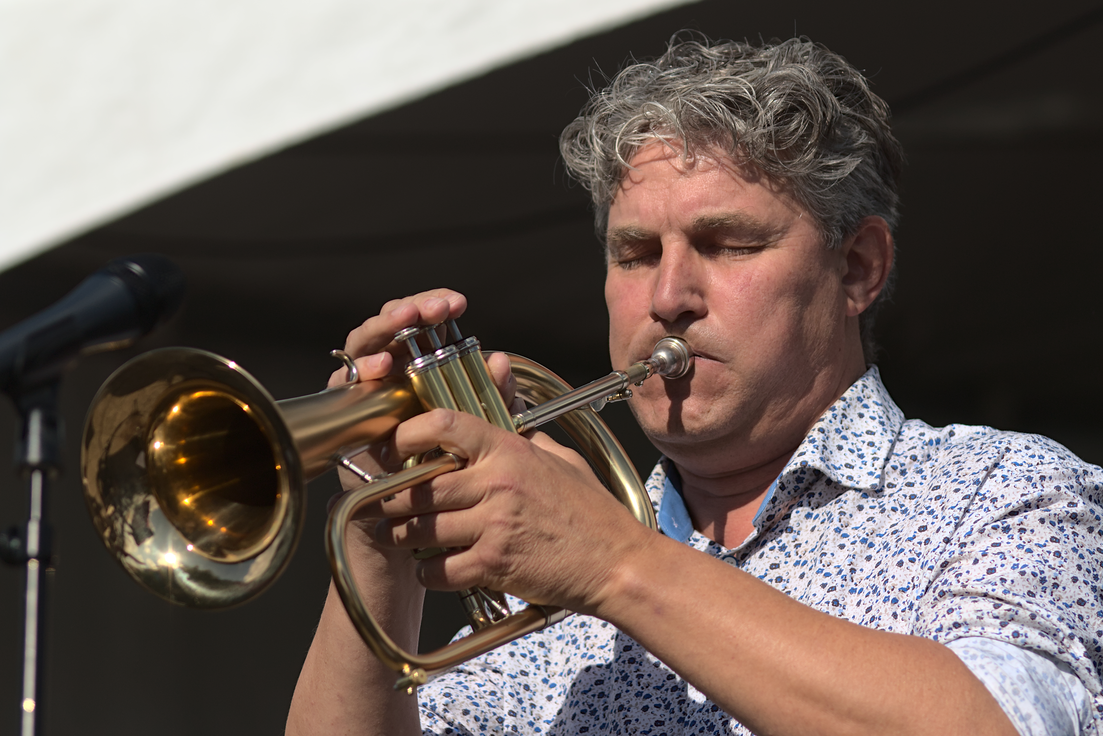 Mark Wind